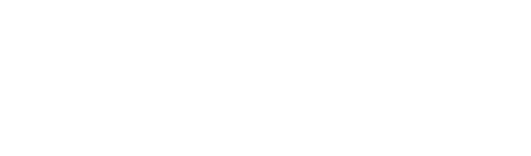 visa - mastercard